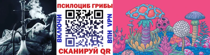 Галлюциногенные грибы Psilocybe  купить закладку  Почеп 